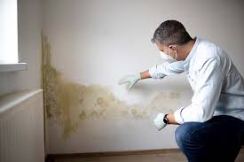 Reliable College Park, MD Mold Removal Services Solutions